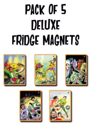 Pack Of 5 Deluxe Fridge Magnet- Nagraj 1