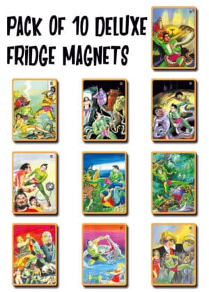 Pack Of 10 Deluxe Fridge Magnet- Nagraj 1